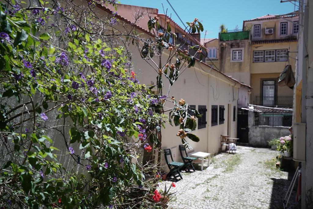 Central Gem III - Lisbon Trendy Santos District מראה חיצוני תמונה